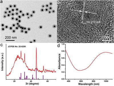 Constructing Cu7S4@SiO2/DOX Multifunctional Nanoplatforms for Synergistic Photothermal–Chemotherapy on Melanoma Tumors